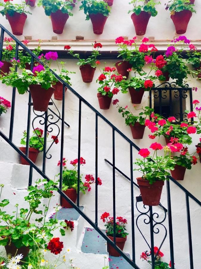 Ribera Del Quivir Appartement Córdoba Buitenkant foto